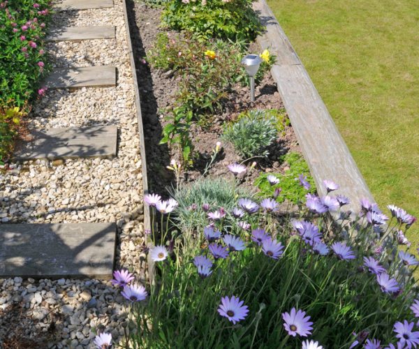 soft landscapingdown to earth landscaping pembrokeshire
