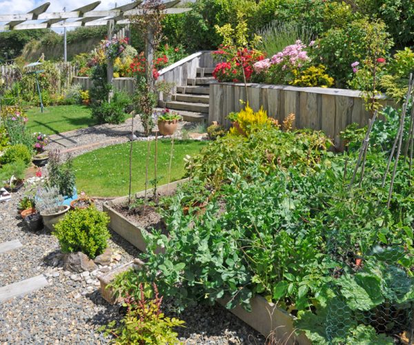 soft landscaping in pembrokeshire garden design 2
