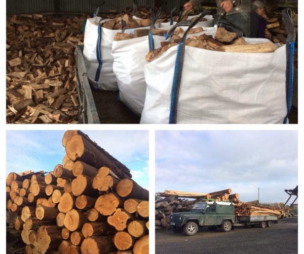 logs 1